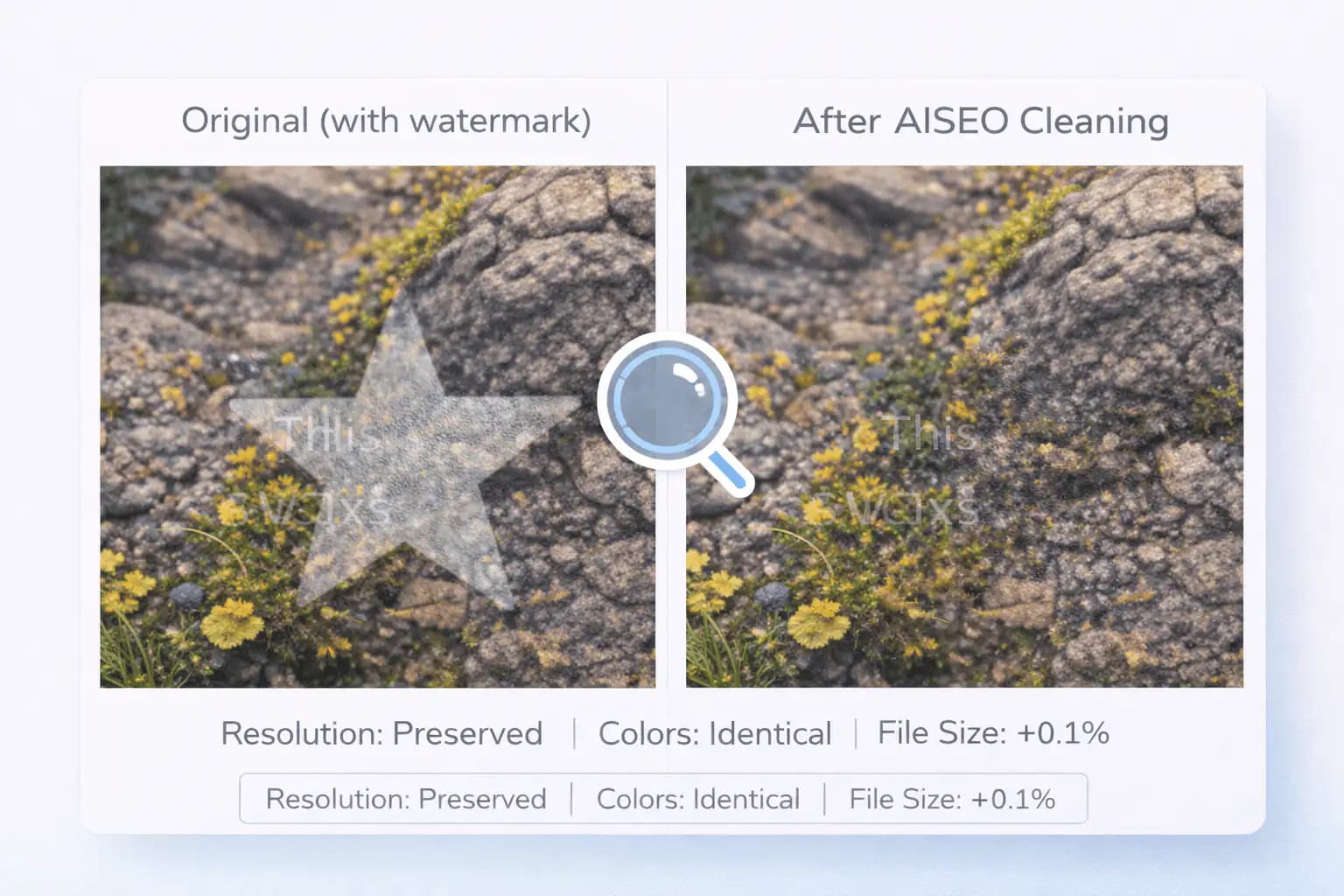Image Quality Preservation