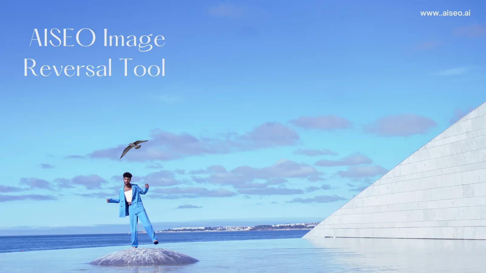 An introduction to Reverse image